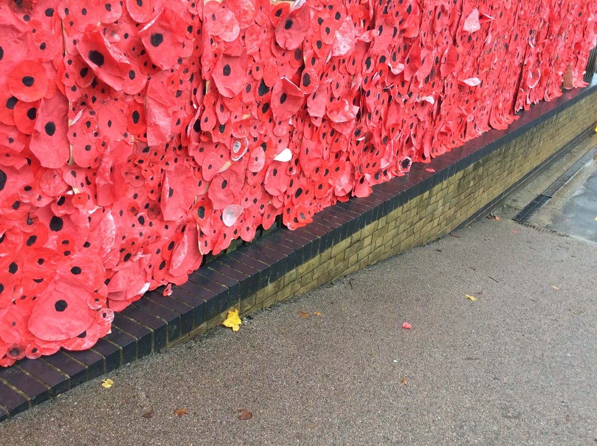 A wonderful display of poppies created by our Year 6 children #RemembranceDay2023 #PoppyAppeal #LestWeForget