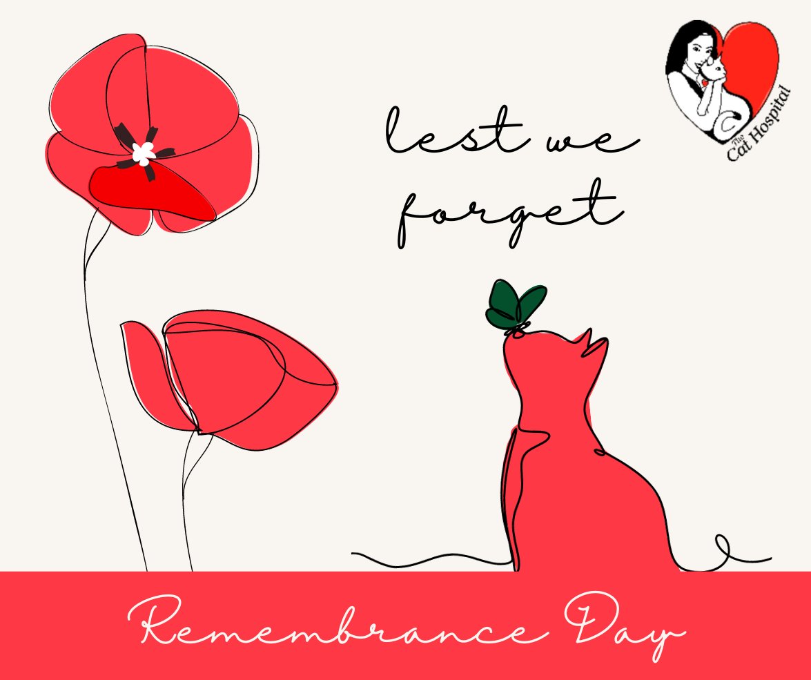 Today we remember Canada's Veterans and their service and sacrifice for our country. Thank you for your loyalty and bravery.

#CanadaRemembers #RemembanceDay #CatsOfTwitter