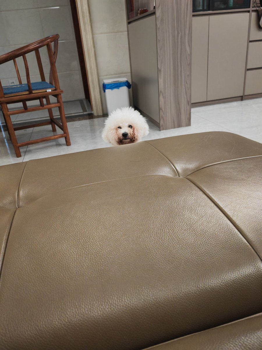 Grand-rola tweet media