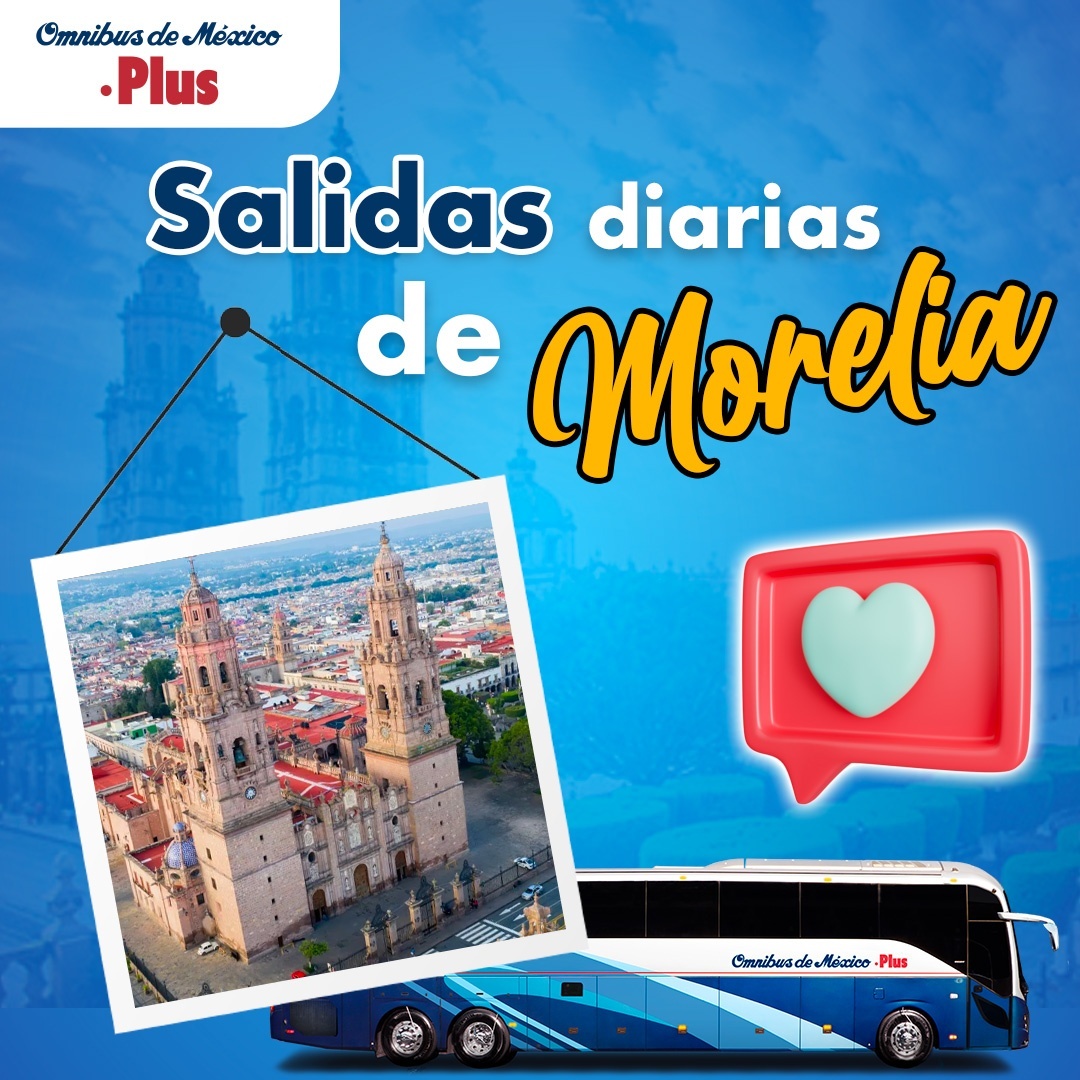 Omnibus_oficial's tweet photo. Viaja en #ServicioPLUS 😎 🚌 a nuestros #DestinosODM📍
✅ Compra tus boletos en ➡️ https://t.co/0hjDcgG6n5
✅ Obtén descuento en tu boleto por comprar en línea. https://t.co/XHE7pmlcxq