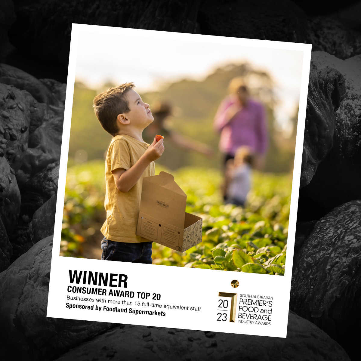 SA Premier's Food and Beverage Awards tweet media