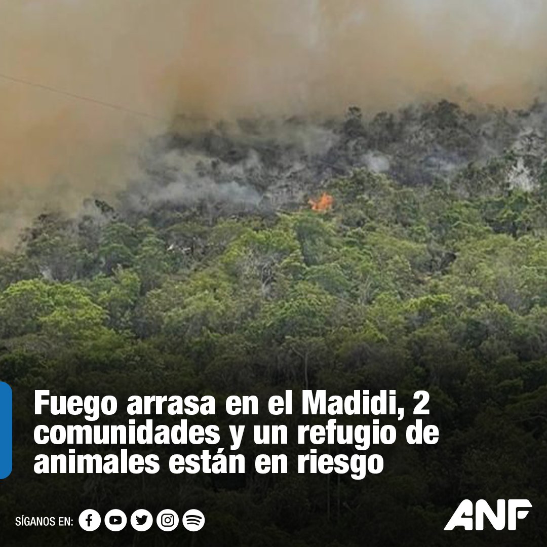 🔵 #ANF | El fuego está a tres kilómetros. Estamos pensando evacuar porque el fuego está muy cerca”, informó a la ANF el concejal del municipio de San Buenaventura, Idemar Tatjane Brathwaite. Lea la nota aquí 👉 acortar.link/tR8bh3