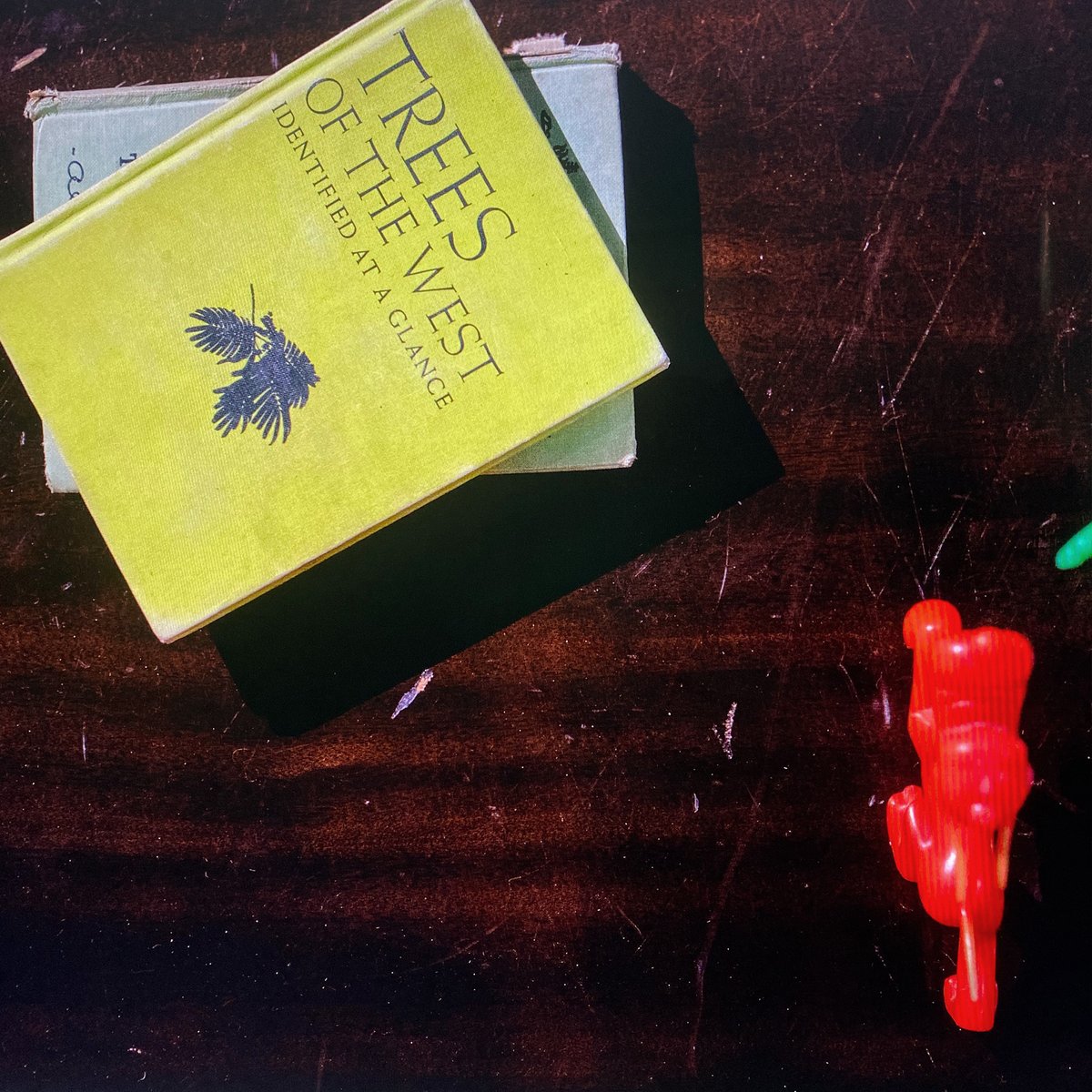 The 1975 tweet media