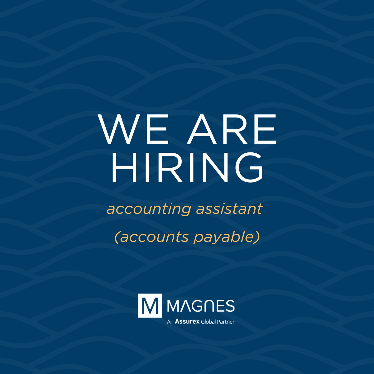 Do you live and breathe financial reports? Do balance sheets get you all riled up? Have we got a career for you! 🧮💼

The Magnes Group is looking for an Accounting Assistant to join our team. 

Apply today ▶ magnesgroup.com/about-us/caree…