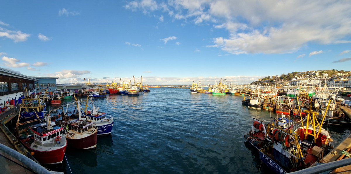 Last few rays of sun over the Brixham fishing fleet. Viewed from the <a href="/therockfishuk/">Rockfish ~ Seafood restaurants by the coast</a> balcony 🐟