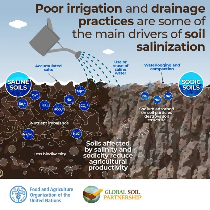 Image from UN Biodiversity (@UNBiodiversity)