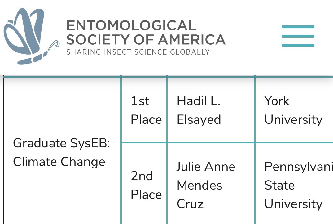 Hadil Elsayed tweet media