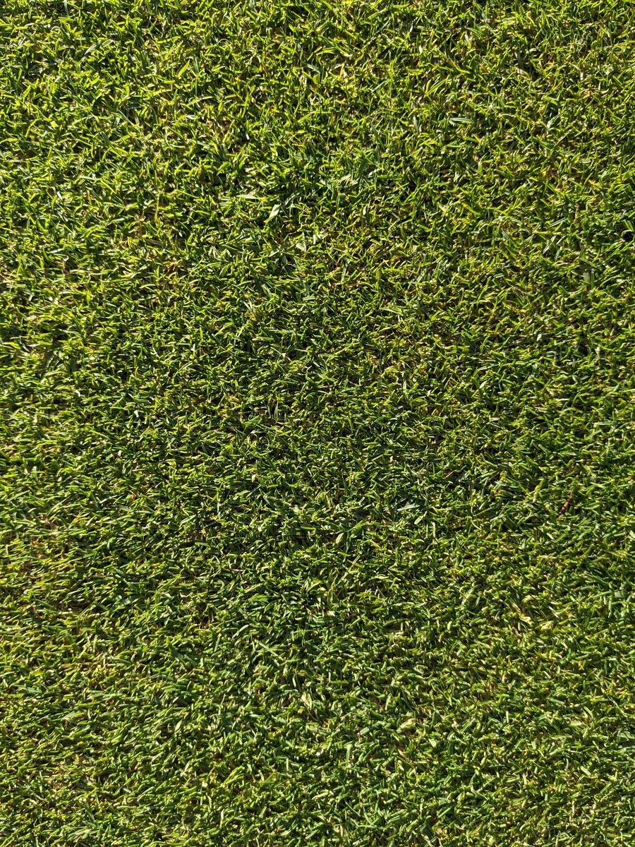 Broomstu's tweet image. A wet start to the day @HonitonGolf, but the sun came out to play in the end🌞! 
Our new team member Simon got to grips with the @ventrac and @SISISMachinery slitter to slit all of the greens today.#topwork #oldschool #aeration