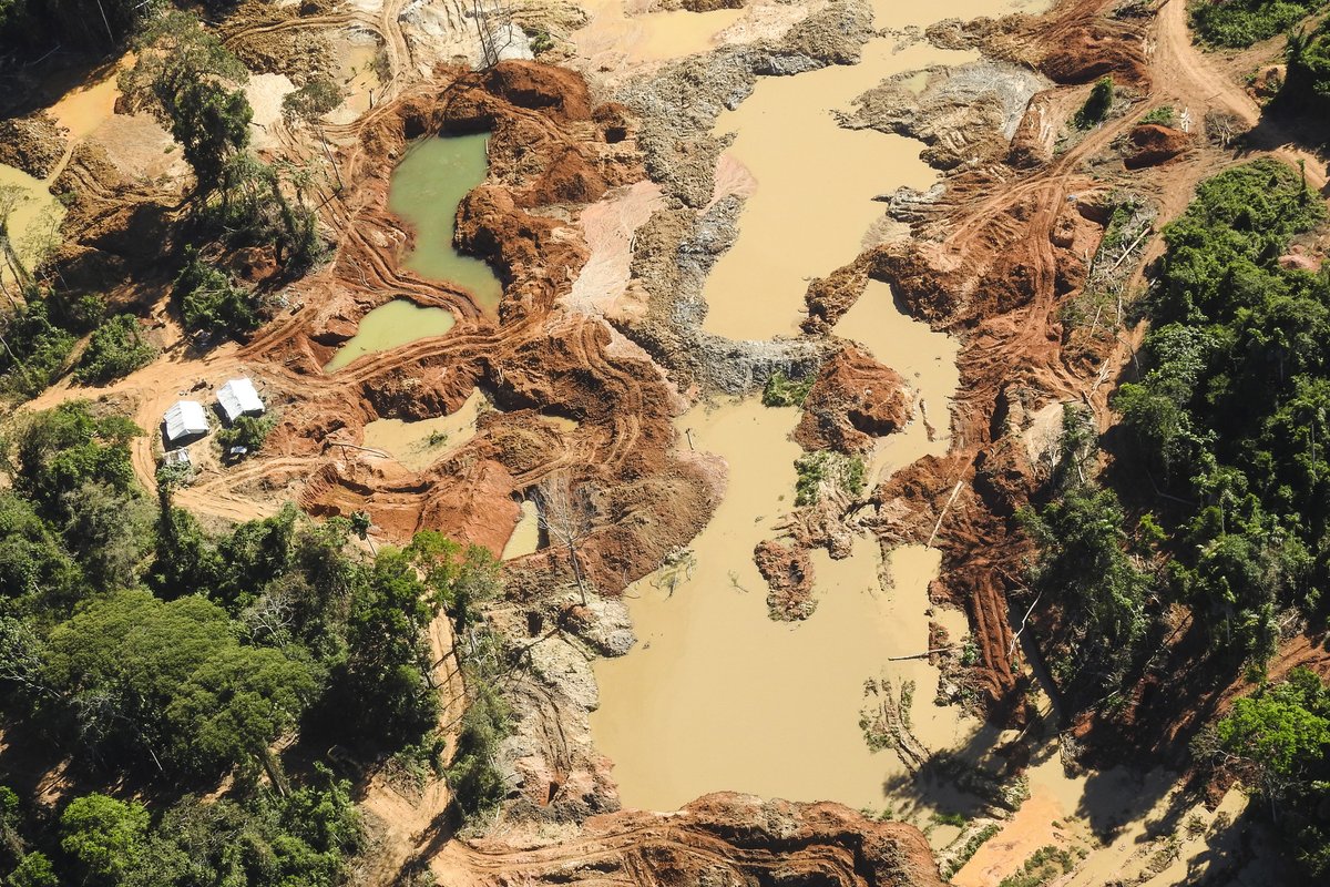 socioambiental tweet media