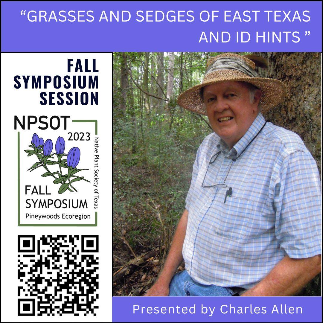 Native Plant Society of Texas tweet media