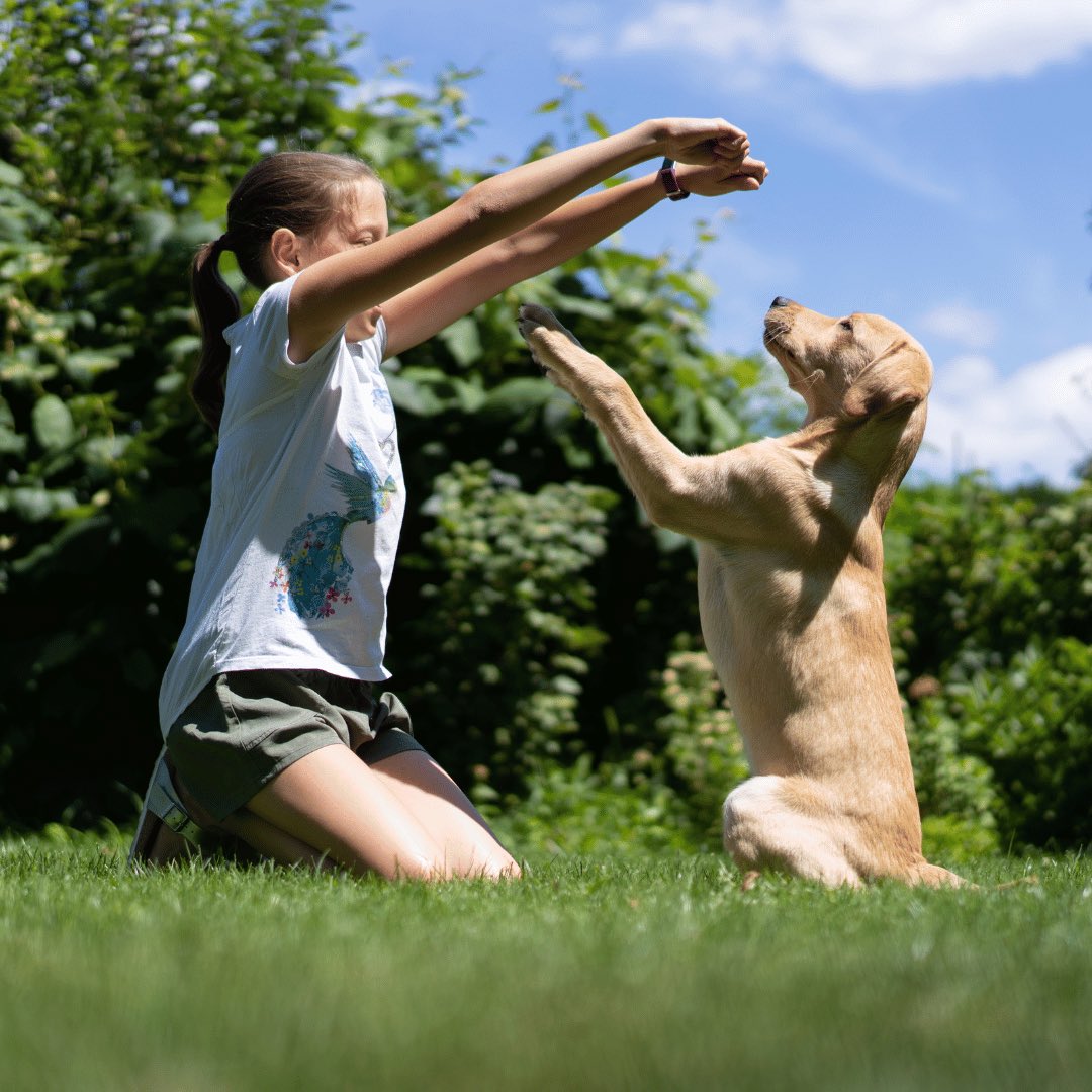 TrustedPups's tweet photo. https://t.co/iMYBpPRoo3

Delve into the world of positive reinforcement training, explore its benefits, addressing common misconceptions and possible pitfalls, and more. https://t.co/LV173NyirH