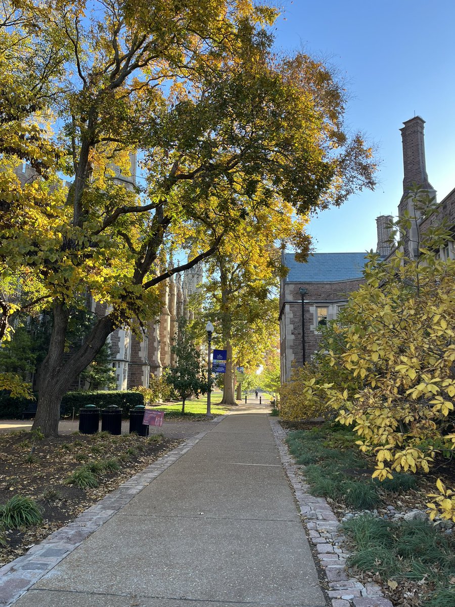 Eric Fournier tweet media