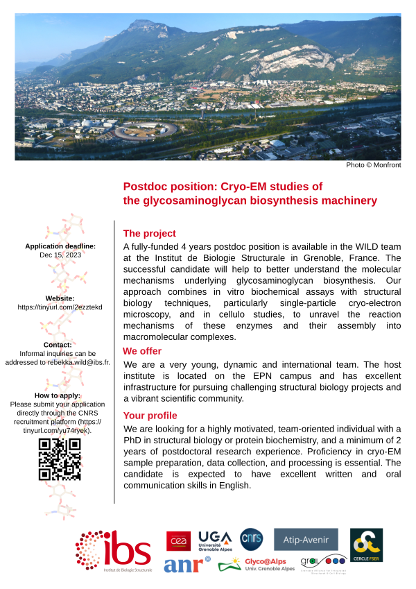 📢We are recruiting! Please RT! A 4-years #postdoc position is opened in the Wild Team at @IBS_Grenoble. #cryoEM #glycotime. More information here: tinyurl.com/2ezztekd