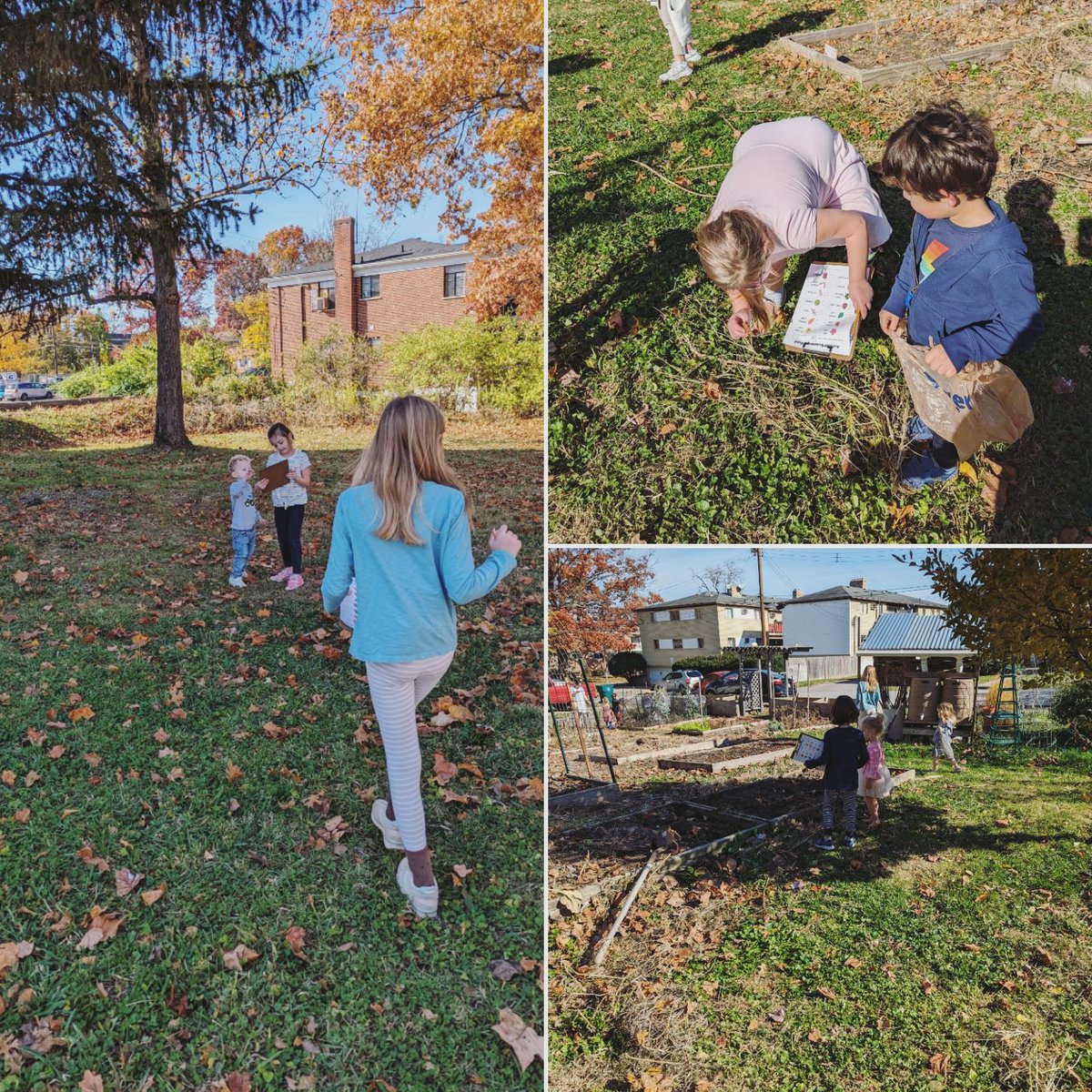 MeridianCincy's tweet image. Meridian Montessori students joined @meridian_micro students for a collaborative autumn scavenger hunt.
#Montessori #autumn #multiagelearning
