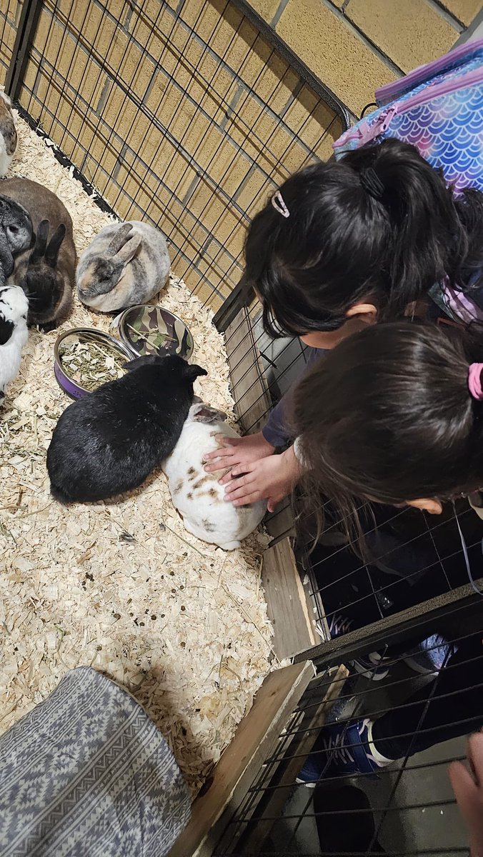 welcome_tdsb's tweet photo. This week we took several of our partner schools to visit RoyalAgriculturalWinterFair Newcomer students learned about Ont farming and got up close and personal with animals! @tdsb @TDSB_CS #newcomerstudents https://t.co/E9Tbz9xC3I