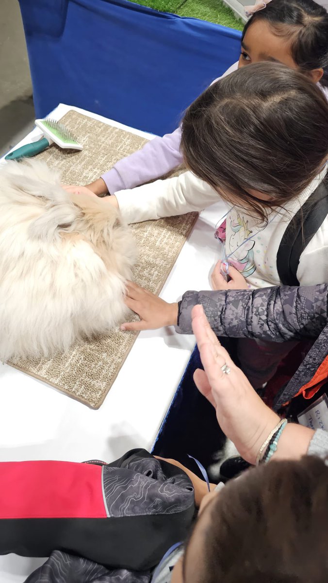 welcome_tdsb's tweet photo. This week we took several of our partner schools to visit RoyalAgriculturalWinterFair Newcomer students learned about Ont farming and got up close and personal with animals! @tdsb @TDSB_CS #newcomerstudents https://t.co/E9Tbz9xC3I