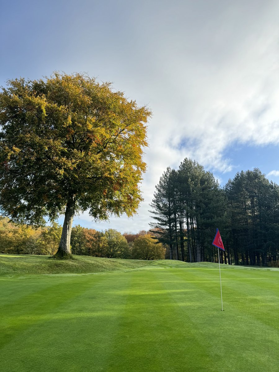 Meltham GC Greens Team tweet media