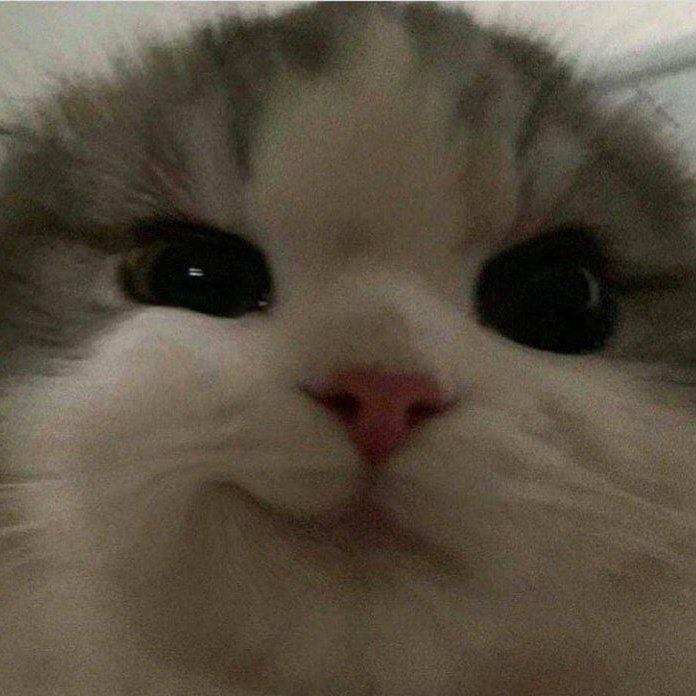 JayadipReddy1's tweet image. #MiddleClassLife 🥲

TV ✅
Fridge ✅
Washing Machine ✅
Dinning Table ❌
Water Purifier ✅
AC  ✅
Bike ✅ 
Car ❌
Seperate rooms ❌
Mental Health ❌
Physical health ❌
Debts ✅
Min Required Expenses ❌
Restless ✅
...etc etc