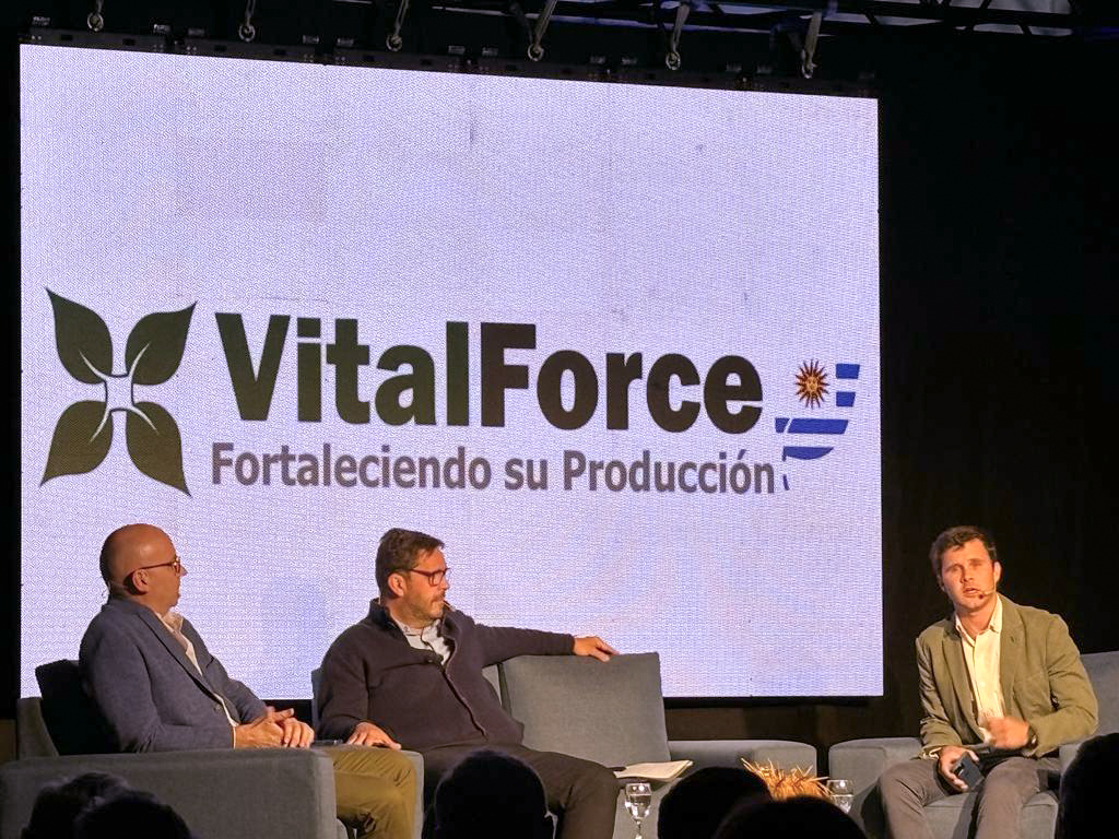 La conferencia "Arroz: una marca país con desafíos crecientes" es un evento que crece junto al sector arrocero y su importancia para el Uruguay. 
Organizada por <a href="/ruraleselpaisuy/">RURALES EL PAÍS</a> y <a href="/VAgregado/">Valor Agregado</a>.
🌾<a href="/hernanzorrilla/">Hernán Zorrilla de San Martín</a> estuvo elevando la conversación como moderador

Felicitaciones!!