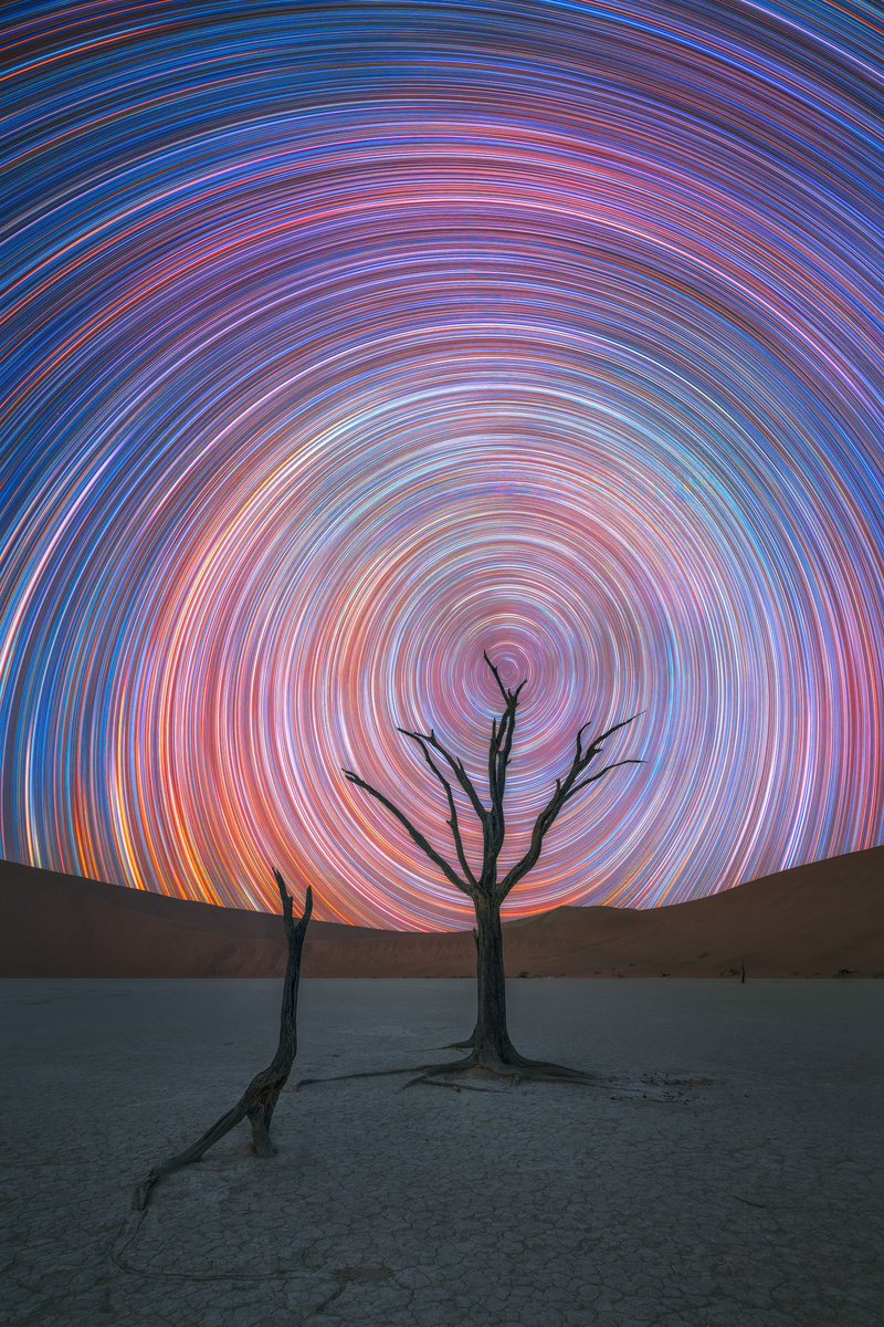 Daniel Viñé tweet media