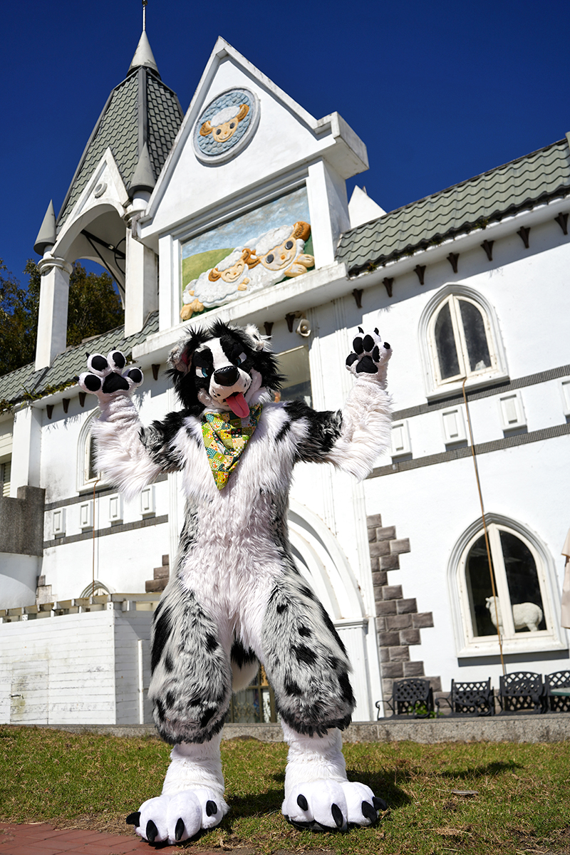 Abandoned social media tweet media