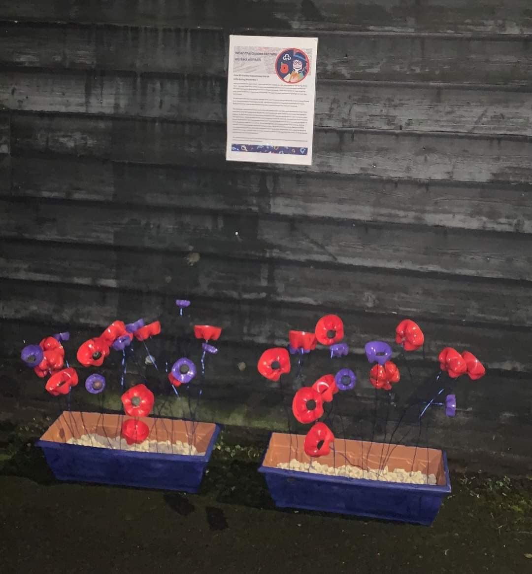 Girlguiding Scottish Borders County tweet media