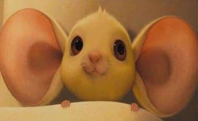 yo cuando el profe le resolvía una duda al de mi lado en el exámen