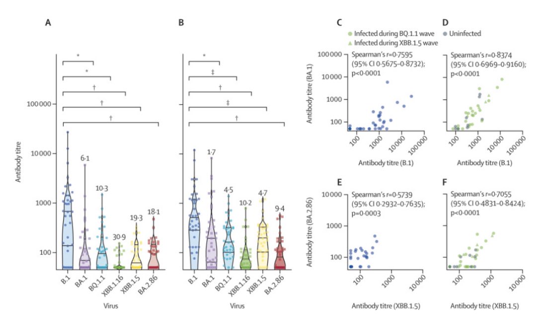 Antonia Ho (@drtoniho) on Twitter photo 📣 Delighted to share latest work by the <a href="/CVRinfo/">MRC-Uni of Glasgow Centre for Virus Research</a> #Preparedness group, published in <a href="/TheLancet/">The Lancet</a>. 📣
Omicron BA.2.86 cross-neutralising activity in community sera from the UK
1/3
thelancet.com/journals/lance… 📣 Delighted to share latest work by the <a href="/CVRinfo/">MRC-Uni of Glasgow Centre for Virus Research</a> #Preparedness group, published in <a href="/TheLancet/">The Lancet</a>. 📣
Omicron BA.2.86 cross-neutralising activity in community sera from the UK
1/3
thelancet.com/journals/lance…