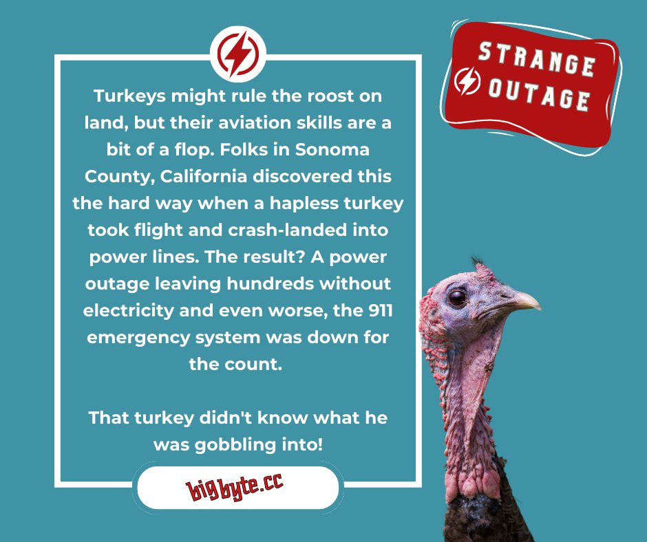 Don't be a #turkey 🦃 when it comes to your #DisasterRecoveryPlan. Call us today, and we can help you mitigate threats with a Continuity Strategy that is customized to your company's needs. ☎️ 👉 505.255.5422