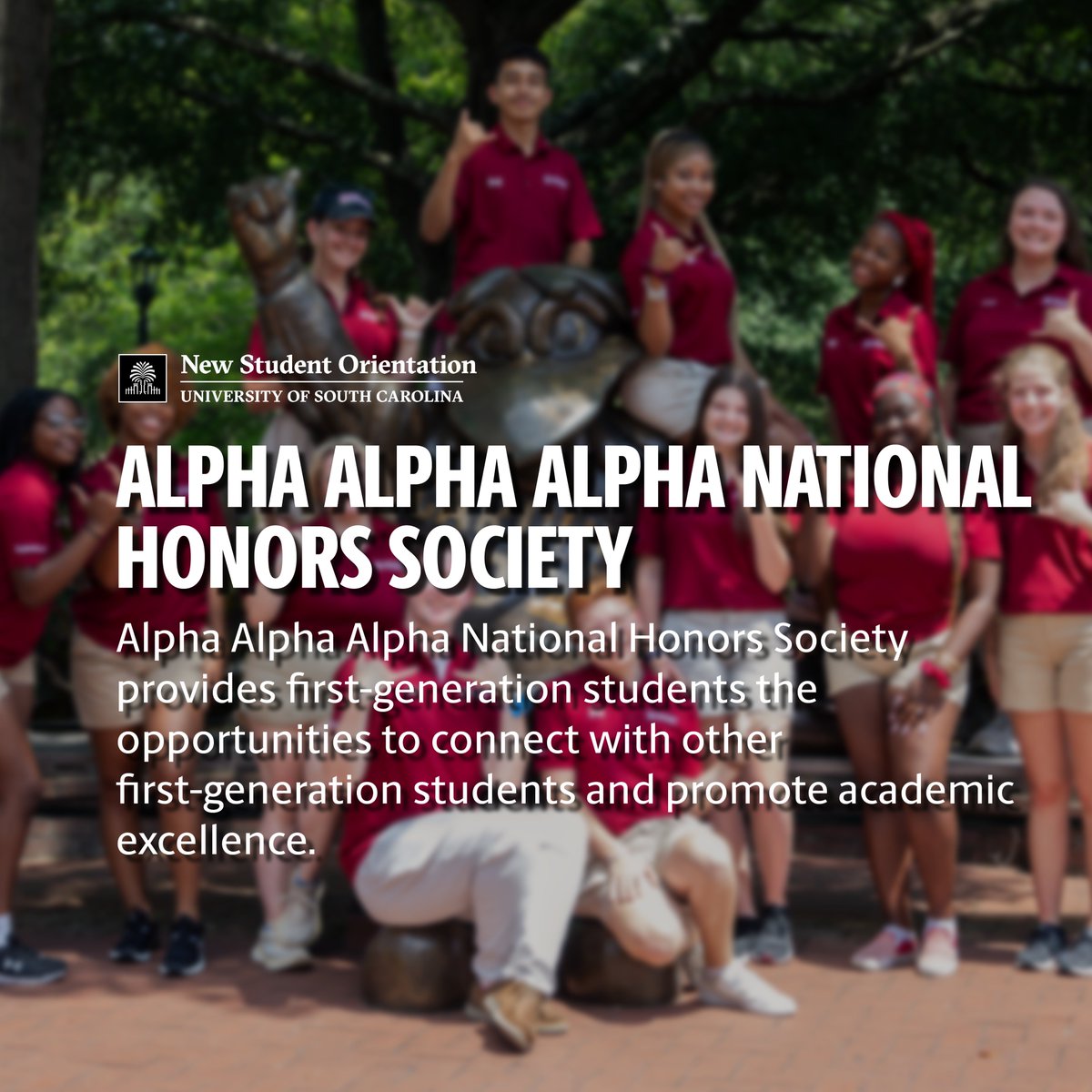 UofSC_ONSO's tweet photo. Even though #NationalFirstGenerationCollegeCelebration week is coming to a close, there are still opportunities to make connections. 🤝 Consider getting involved with the below student organizations for #USCFirstGen students!

#USCOrientation #CelebrateFirstGen https://t.co/RkYBwvaWWh