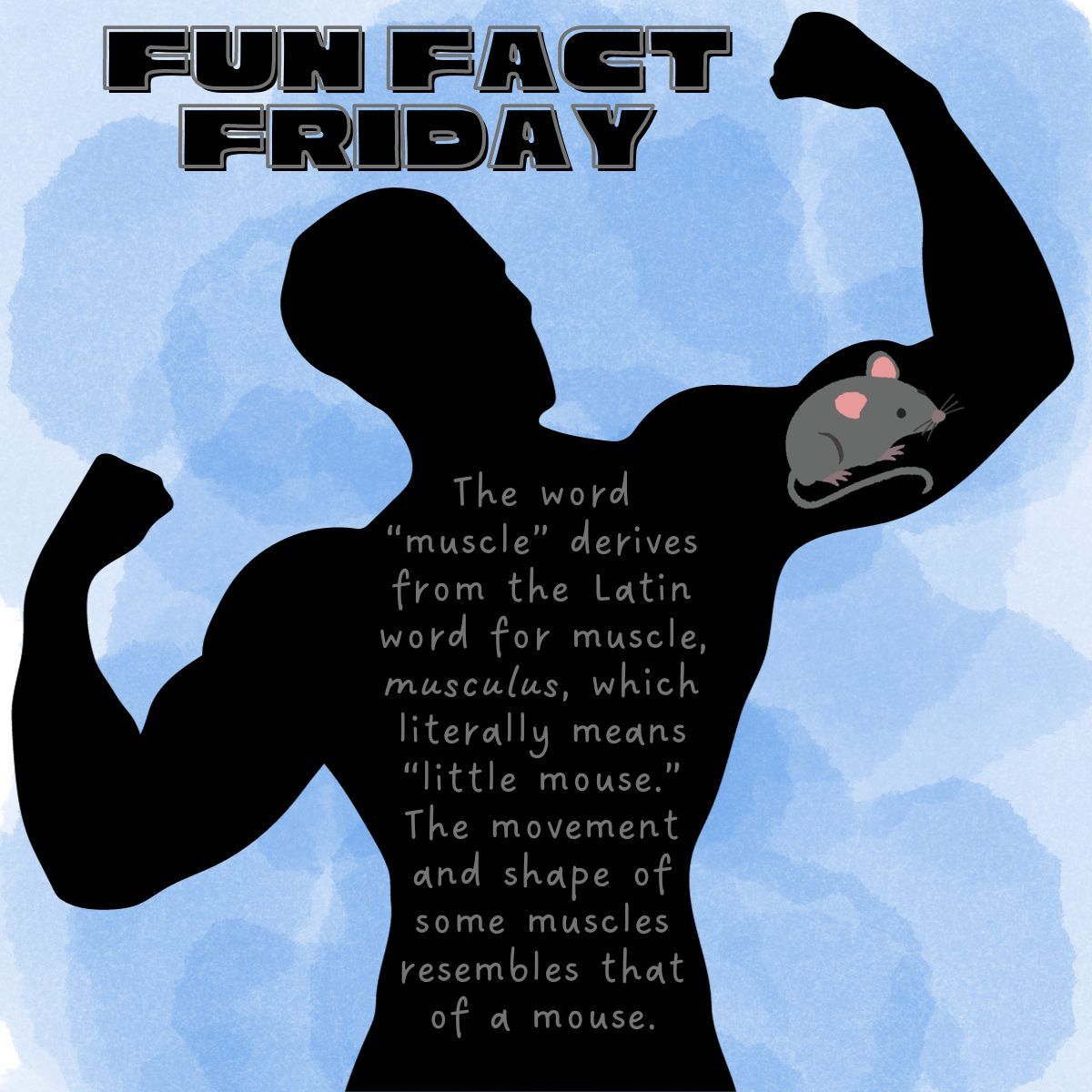 MiraCostaSTEMLC's tweet photo. What do *you* see when you flex your muscles? 💪 You might need to squint and use your imagination to see its namesake. 😆 🐭 😯 #FunFactFriday #MiraCostaSTEMLC https://t.co/Bu29ngfdpF