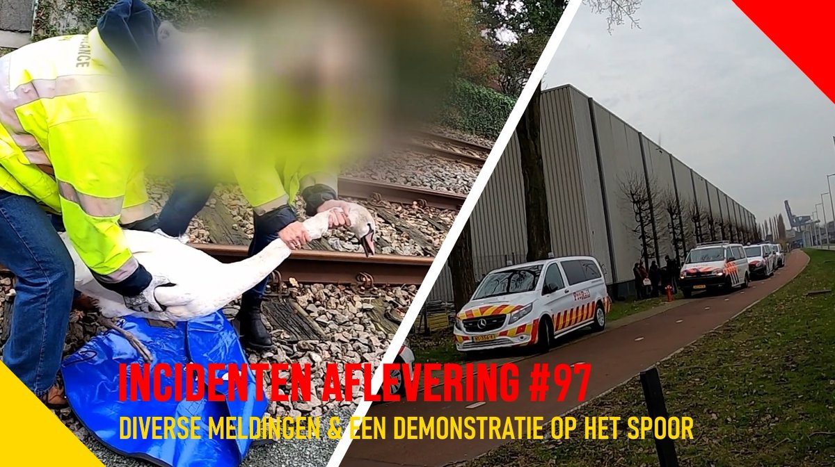 📟 Diverse meldingen &amp; een demonstratie op het spoor 🦺

Wist jij dat wij in actie komen als er een zwaan op het spoor land? 
En ondersteuning bieden bij demonstraties op het spoor?
Bekijk dat en meer in deze aflevering!

youtu.be/2XBrMaHx5sc

#ProRail #Incidentenbestrijding