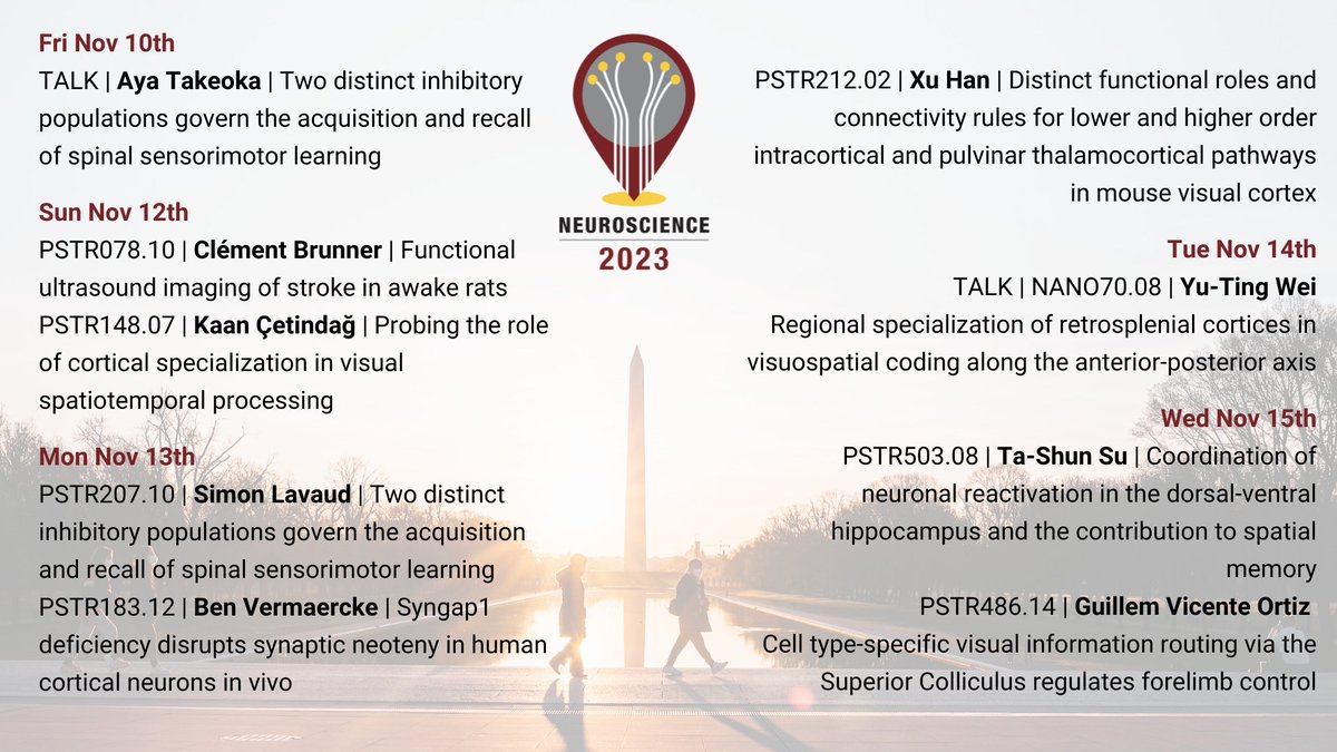 NERF (@__nerf) on Twitter photo We're ready #SfN2023!
👋 Come and meet us at the following talks and poster sessions 👇 We're ready #SfN2023!
👋 Come and meet us at the following talks and poster sessions 👇