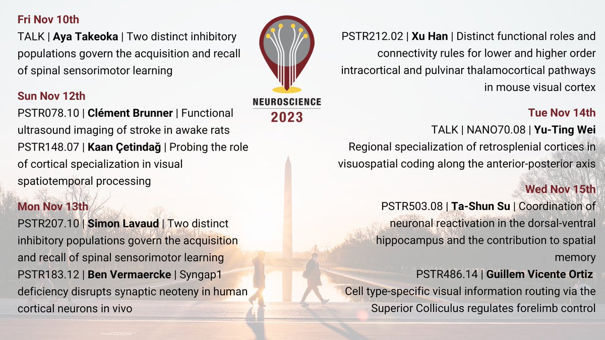 We're ready #SfN2023! 👋 Come and meet us at the following talks and poster sessions 👇