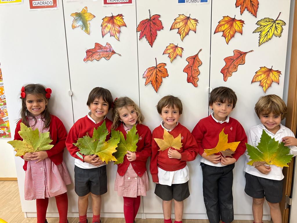 cscchamartin's tweet photo. Observamos la naturaleza🧐 y así fomentamos la creatividad🍁.
#soytodooídos #somosfesb #naturaleza https://t.co/iw675syrlh