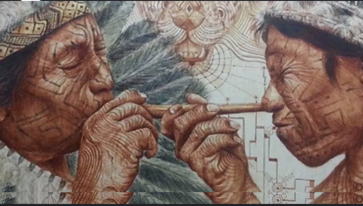 Tobacco is a sacred plant. 

It is the most widely used sacred plant across all the indigenous cultures of North and South America.

Today we discuss hapé 🧵