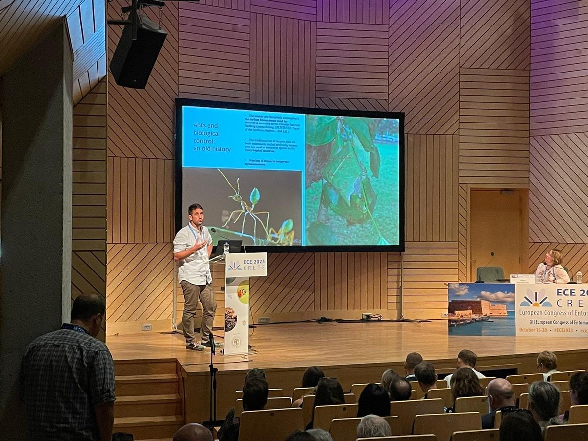 EnricoSchifani tweet media