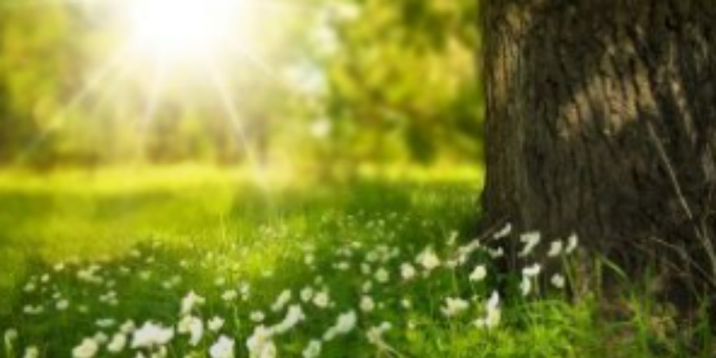 #Weekendread
Probate Explained: What Is It And When Is It Required?

Probate is the process of distributing the assets of a deceased person in accordance with their will (or in the absence of a will). 

Visit bit.ly/3MiK5uS 
#probate #wills #beneficiaries #probateadvice