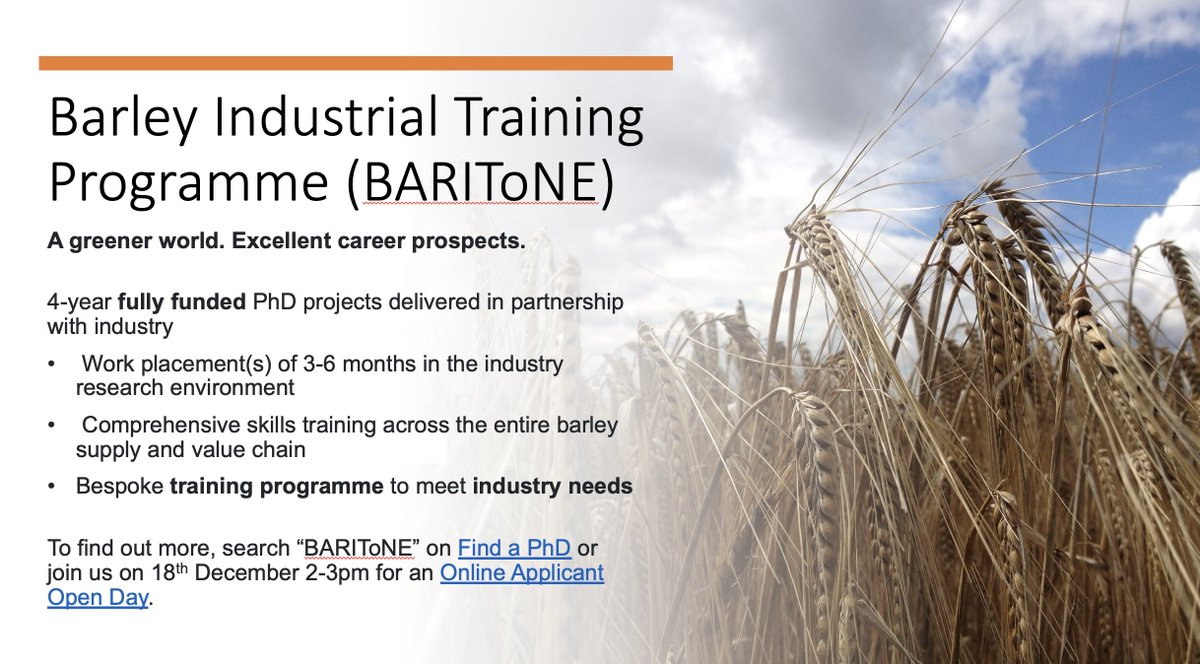 GuilleMendiondo's tweet photo. We are recruiting a PhD student for our project Understanding the role of novel gene pathways during germination and its impact on the malting process (Project code 24E)  #BARIToNECTP @UoNBiosciences and @abinbev 
Please help by spreading the word in your networks. #PhDposition https://t.co/2ikiByB27z