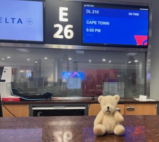 LittleBearFoundation tweet media