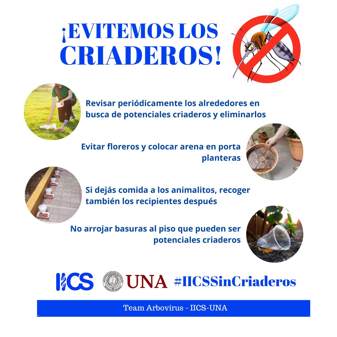 IICS_UNA's tweet photo. ¡Evitar los criaderos de mosquitos es tarea de todos! Desde el IICS estamos iniciando medidas de prevención con la iniciativa #IICSSinCriaderos Recordando algunas acciones simples que cada uno podemos hacer para evitar y eliminar los potenciales criaderos de mosquitos https://t.co/P3AwD6OeZe