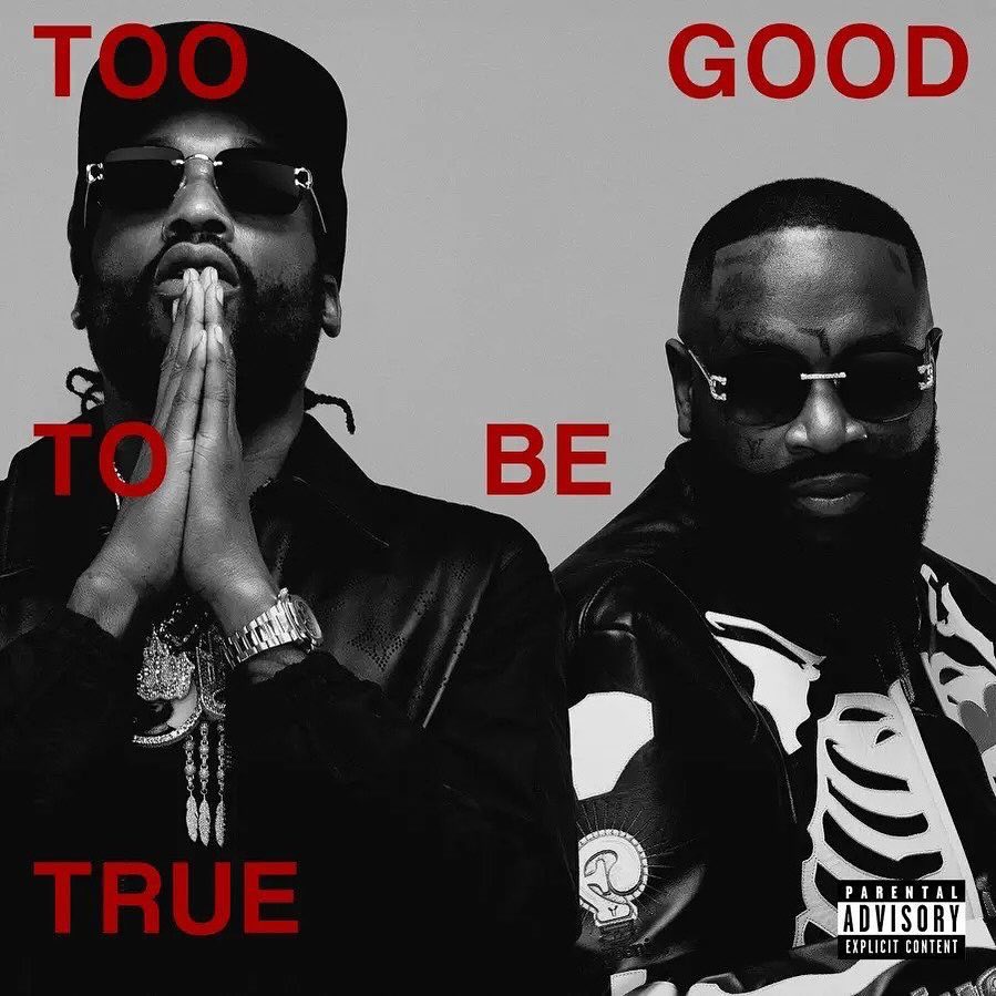 New @meekmill x @richforever Album “Too Good To Be True” just dropped!!! 

#5 “Dead Last” featuring <a href="/myfabolouslife/">Fabolous</a> x @vory Produced by @tm88 x <a href="/CSD_Sid/">C$D Sid</a> x <a href="/SloMeezy/">C$D Slo Meezy</a> x <a href="/macnificent74/">Mac ⚠️👉🏽🌍</a> 

#CrashDummyRecords #CrashTheWorld #CrashDummyRecordsTV #MMG #MaybachMusicGroup #DreamChasers