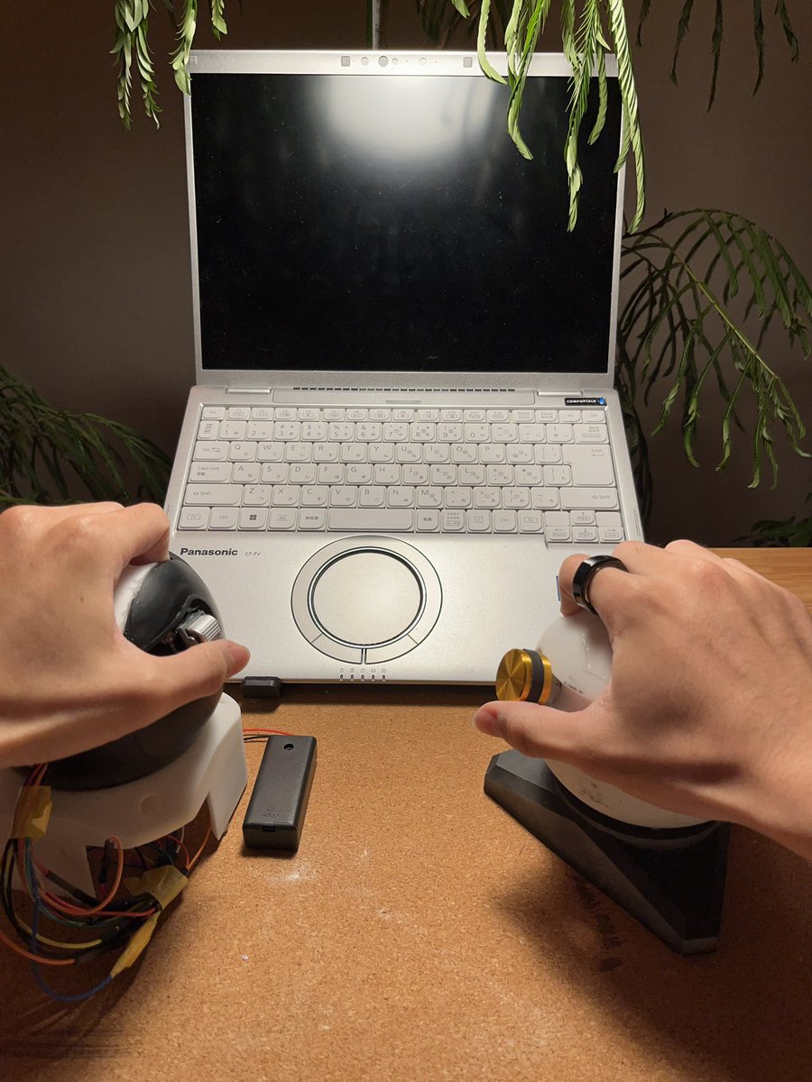 root_integral's tweet image. 良き眺め…☺️