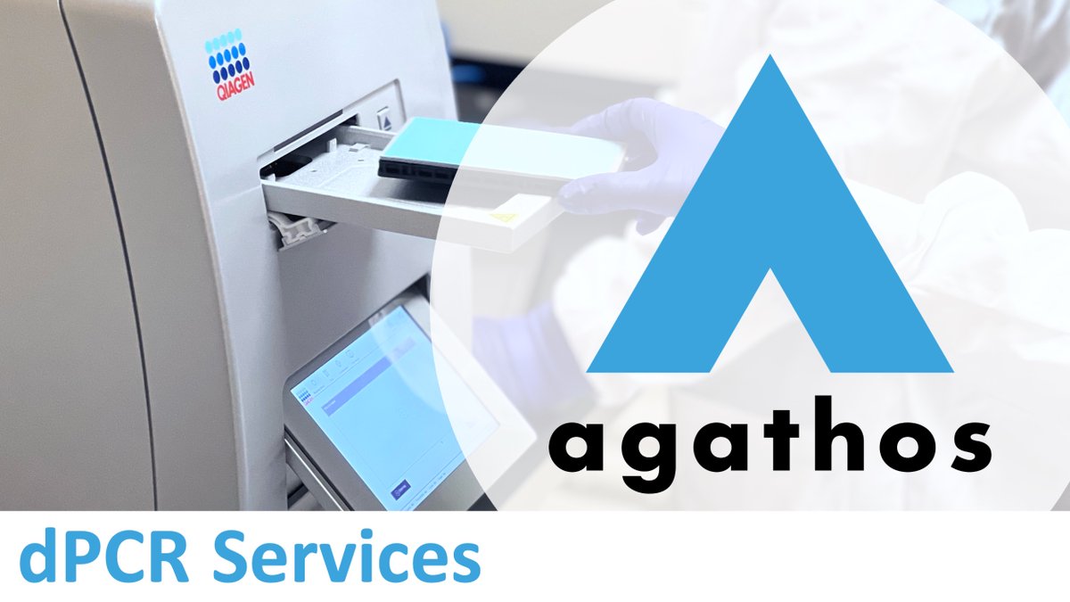 AgathosBio's tweet photo. Elevate your AAV research to new heights with Agathos' Analytical Services! 🧬

Unlock the power of precise AAV titering through our cutting-edge dPCR technology, setting the gold standard for accuracy in quantification.  https://t.co/WBdo7UCIAq #ViralVector #GeneTherapy https://t.co/TSjXIcQd4n