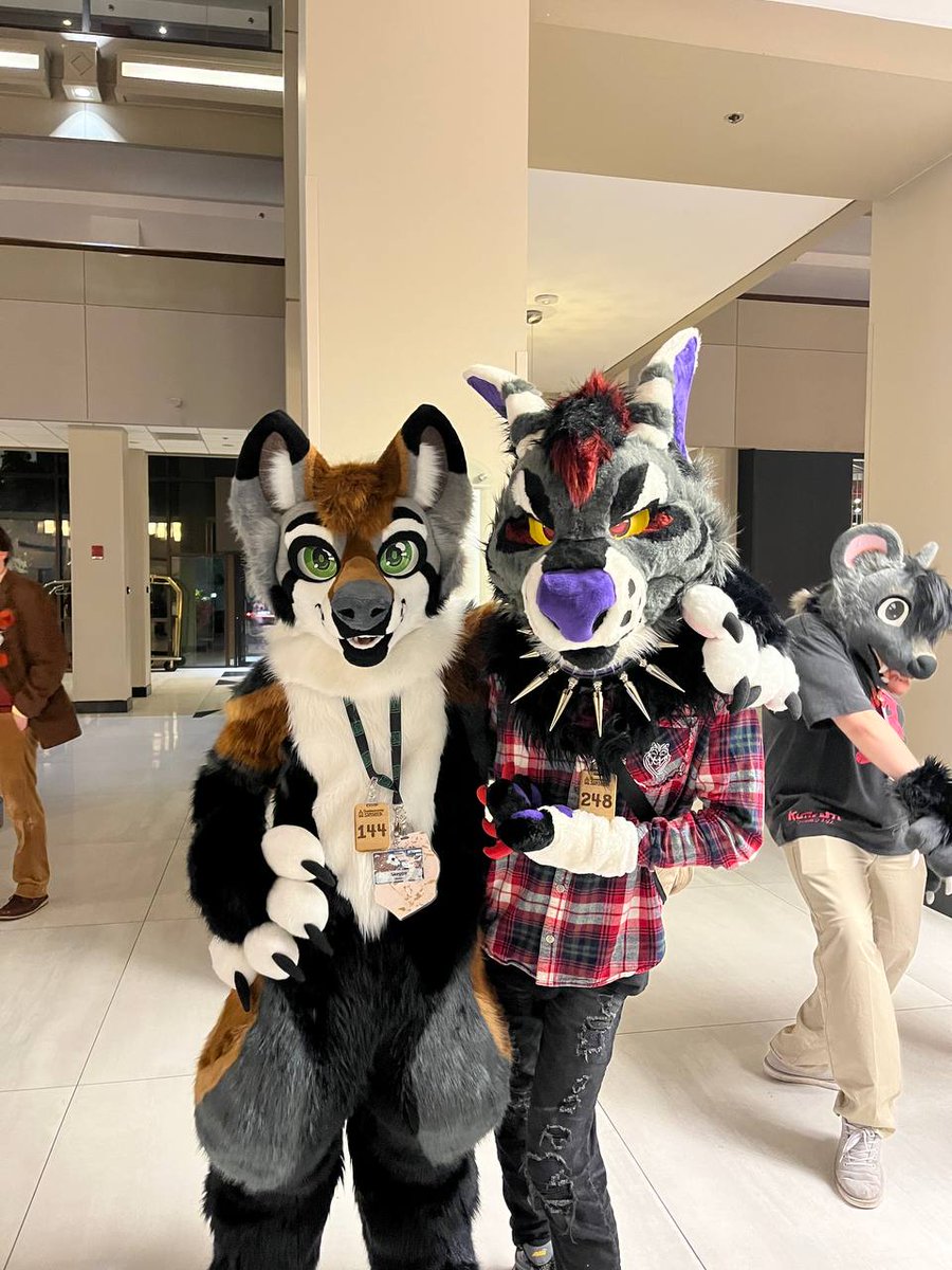 Happy #FursuitFriday with this crazy yote <a href="/CoyotePanik/">Toasty</a>