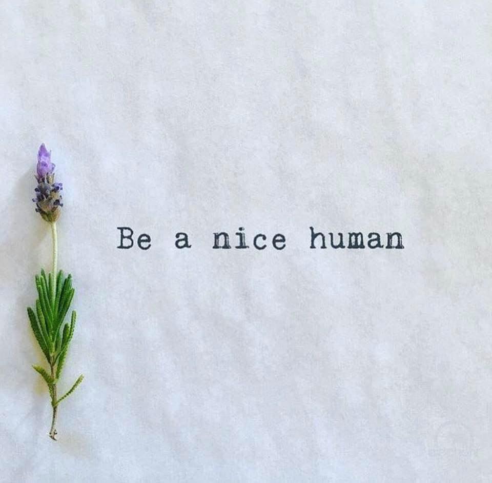 Be nice. Period.