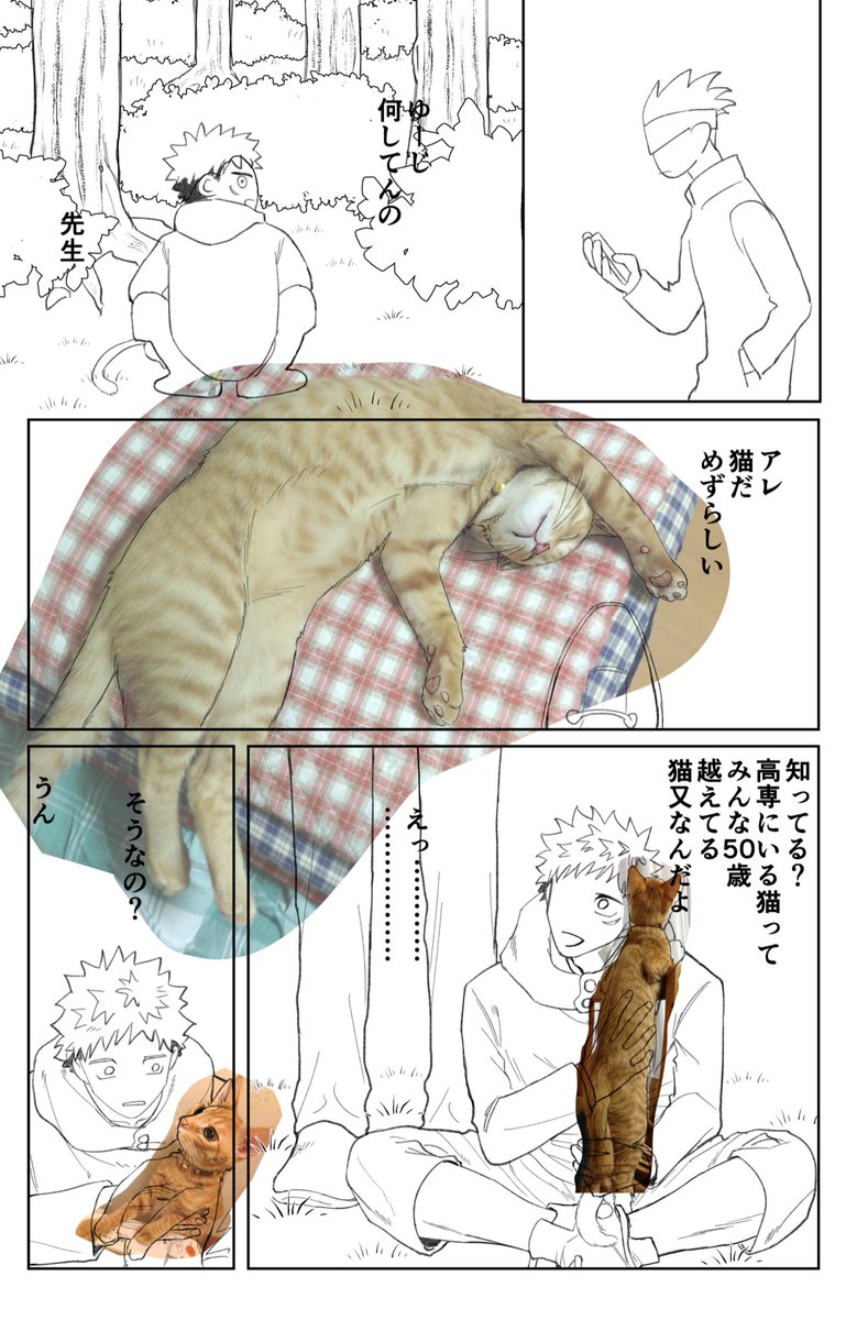 猫飼ってる人間作画あるある 