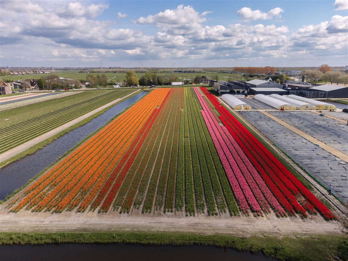 Vandaag is het startmoment! Met <a href="/ProvincieNH/">Noord-Holland</a> <a href="/HollandRijnland/">Holland Rijnland</a> @vervoerregio <a href="/gem_hillegom/">Gemeente Hillegom</a> <a href="/GemLisse/">Gemeente Lisse</a> <a href="/NoordwijkZH/">Gemeente Noordwijk</a> <a href="/gem_teylingen/">Gemeente Teylingen</a> <a href="/haarlemmermeer/">Haarlemmermeer</a> gaan we aan de slag om de Duin- en Bollenstreek en Haarlemmermeer bereikbaarder en leefbaarder te maken: bit.ly/3QuGP0F