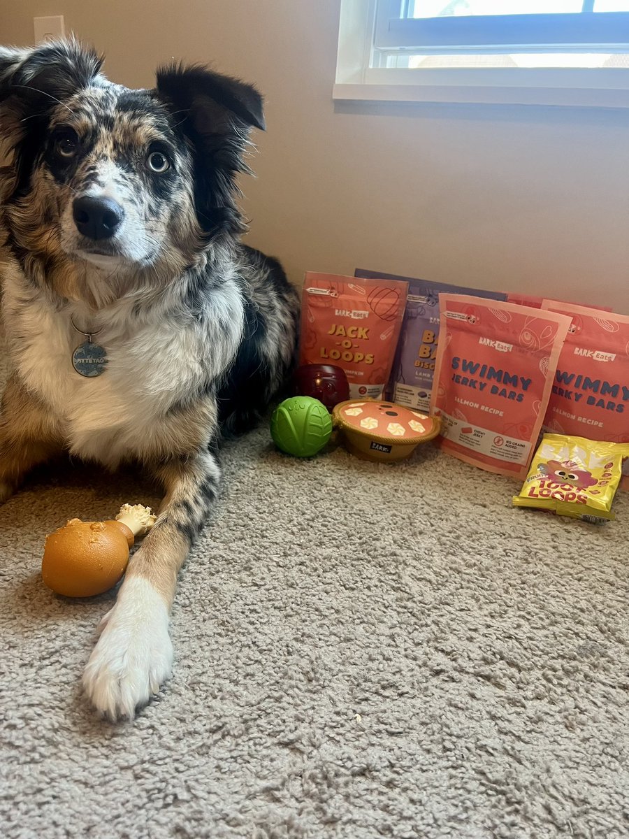 cjdoeslife's tweet image. Raze got her first @barkbox 
Someone must have been generous, 4 toys and 7 bags of treats 🤣