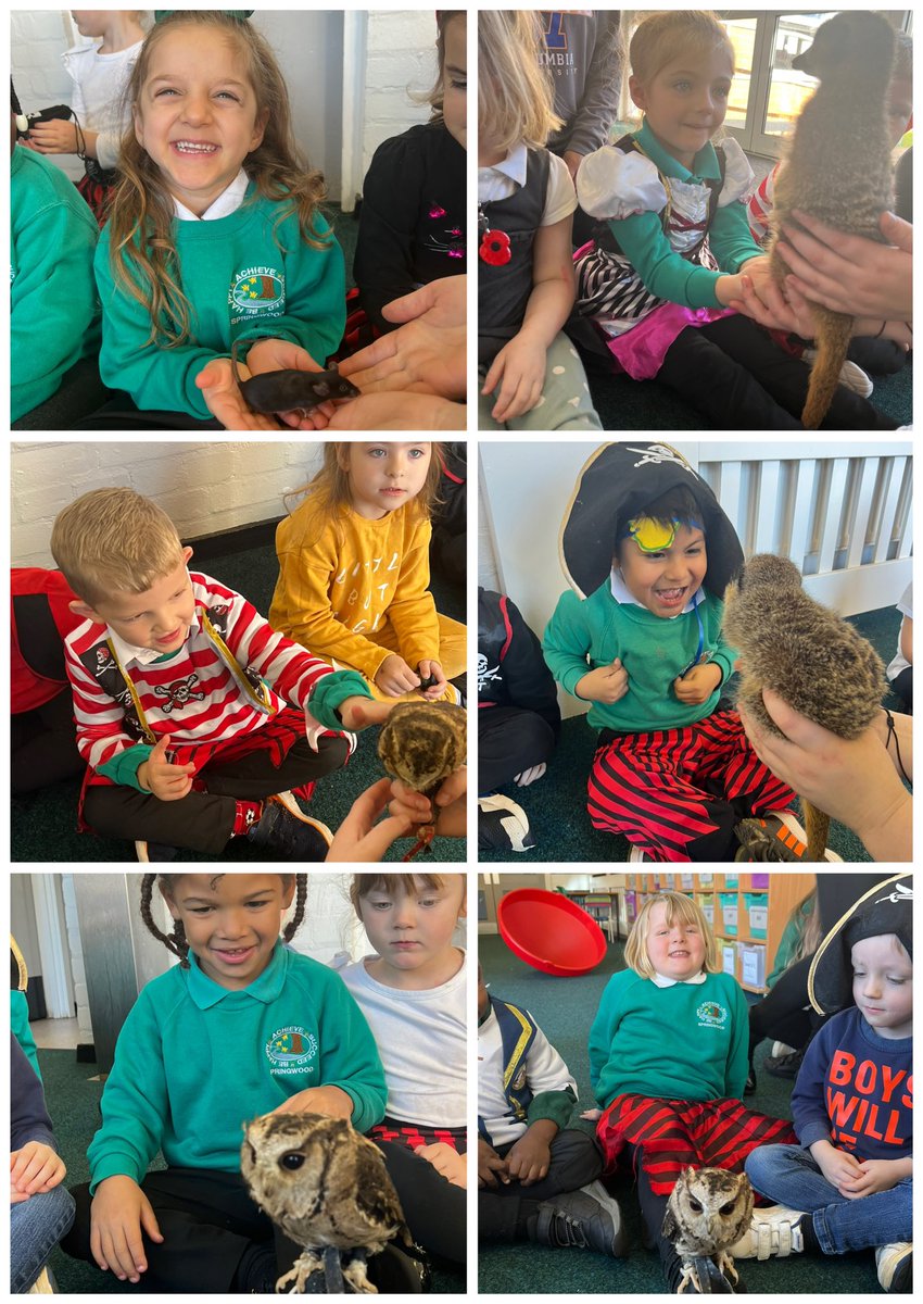 Springwood Primary School tweet media